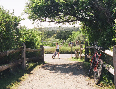 Cape Cod Bike Trail