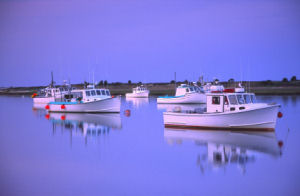 Chatham Harbor, Cape Cod