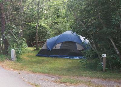 Coastal Acres Camping Court Cape Cod