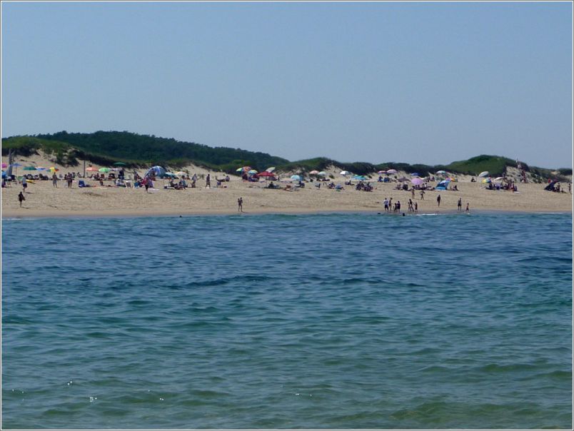 Head of the Meadow Beach