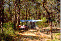 North of Highland Camping Area