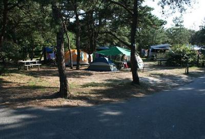 North Truro Camping Area