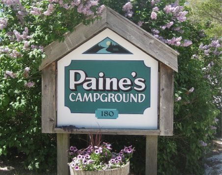 Cape Cod Camping - Paines Campground