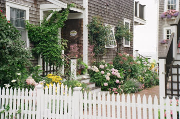 Beautiful Garden in Provincetown Mass