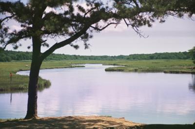 Scorton Creek in Sandwich Cape Cod