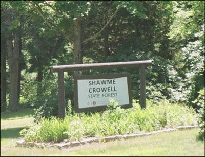 Shawme-Crowell State Forest