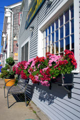 Woods Hole Window Boxes